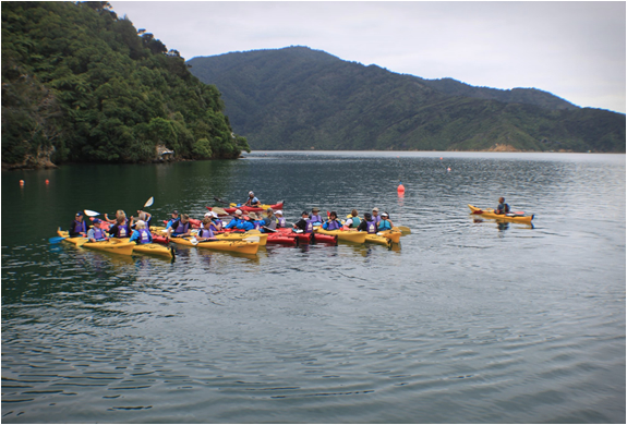 bay-of-many-coves-new-zealand-14.jpg