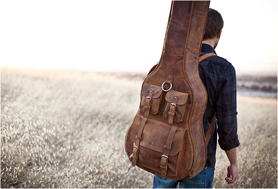 img_arizona_arena_guitar_case_2.jpg