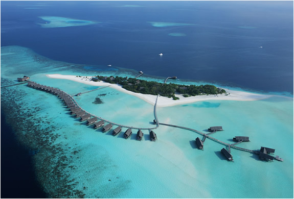 img_cocoa_island_resort_maldives_5.jpg