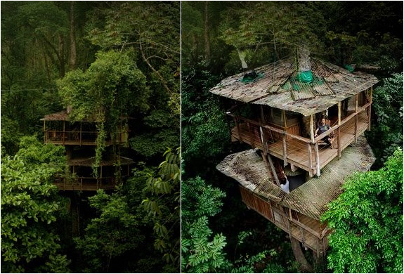 FINCA BELLAVISTA | TREE HOUSE COMMUNITY IN COSTA RICA | Image