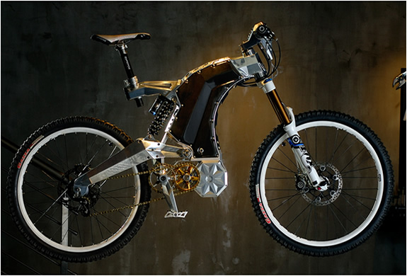 img_the_beast_m55_electric_bike_2.jpg