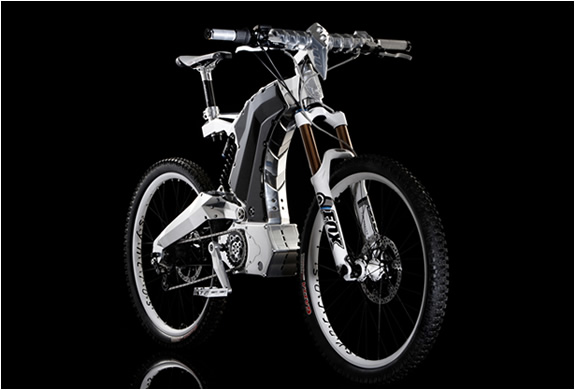 img_the_beast_m55_electric_bike_3.jpg