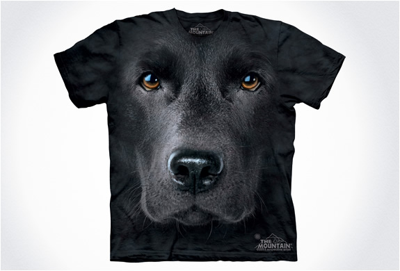 img_the_mountain_dog_t_shirts_5.jpg