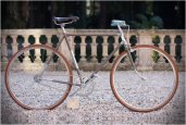 BIASCAGNE CICLI