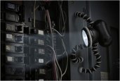 thum_gorilla-torch.jpg