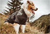 DOG OUTDOOR OVERALLS | BY HURTTA