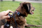 thum_img_bark_beer.jpg