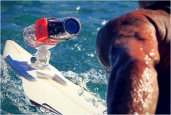 CONTOUR HD HANDS FREE VIDEO CAMERA