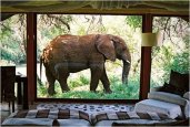 thum_makanyane-safari-lodge.jpg