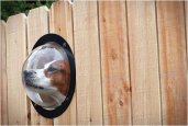 PETPEEK | WINDOW FOR YOUR FENCE