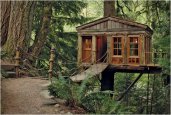 thum_tree-house-point.jpg