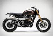 TRIUMPH RUMBLER | BY TRIDAYS