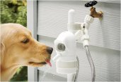 thum_waterdog-automatic-pet-drinking-fountain.jpg