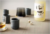 WHISKEY STONE SHOT GLASSES