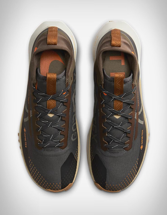 Nike Pegasus Trail 4 GORE TEX