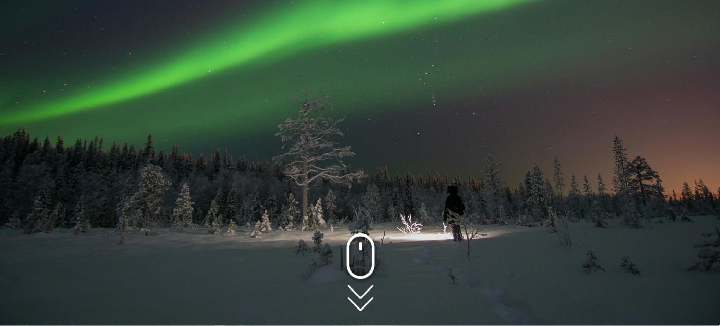 Gift Guide 2025 Main Image