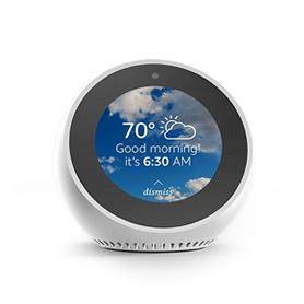 Echo Spot