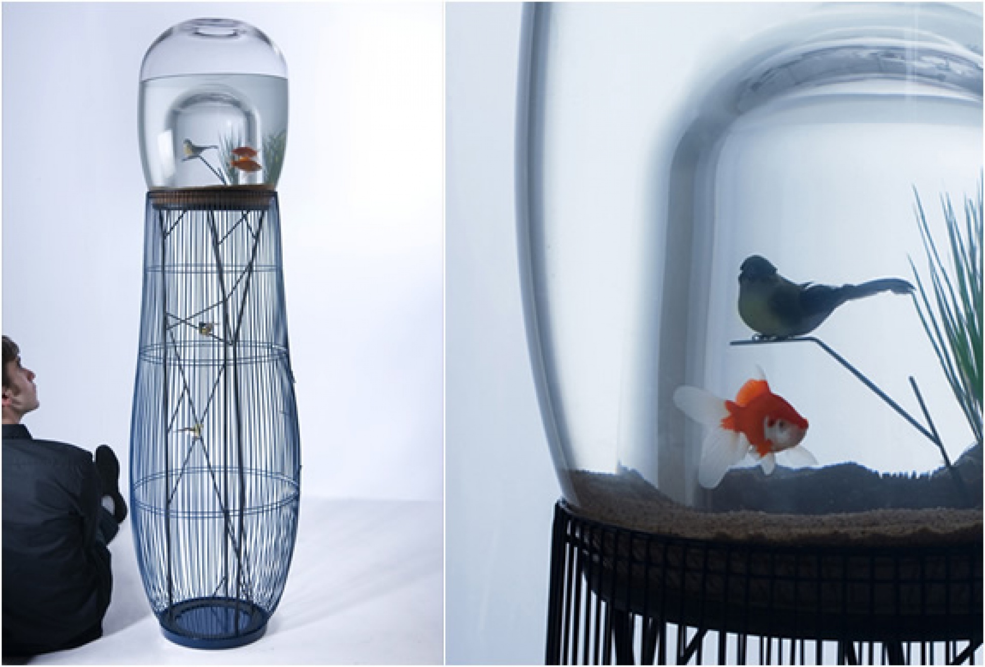 Duplex | Fishbowl And Birdcage | Image