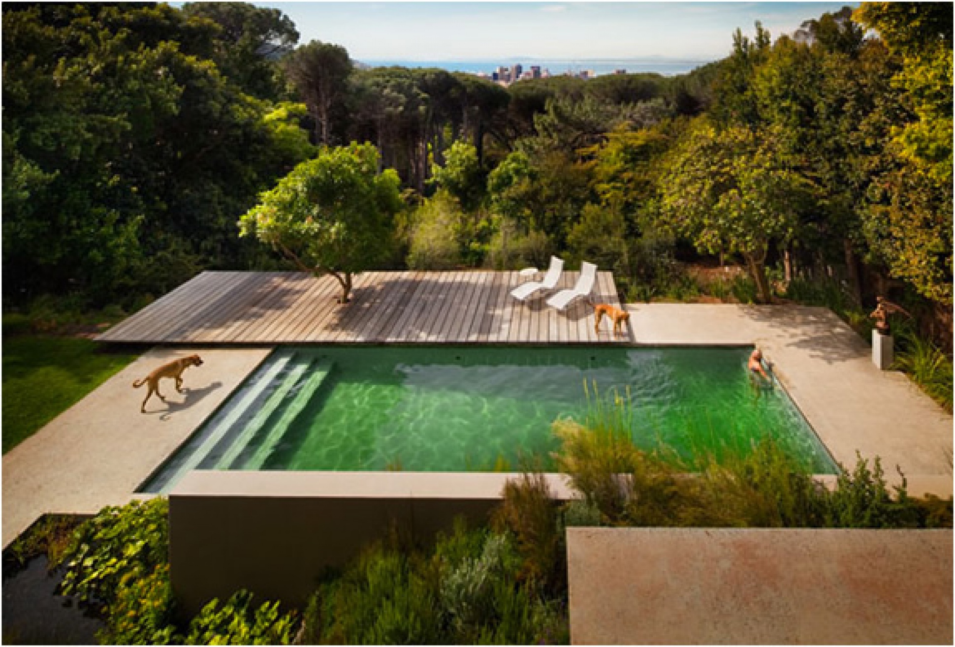 Gubbins House | Dream Home In Cape Town | Image