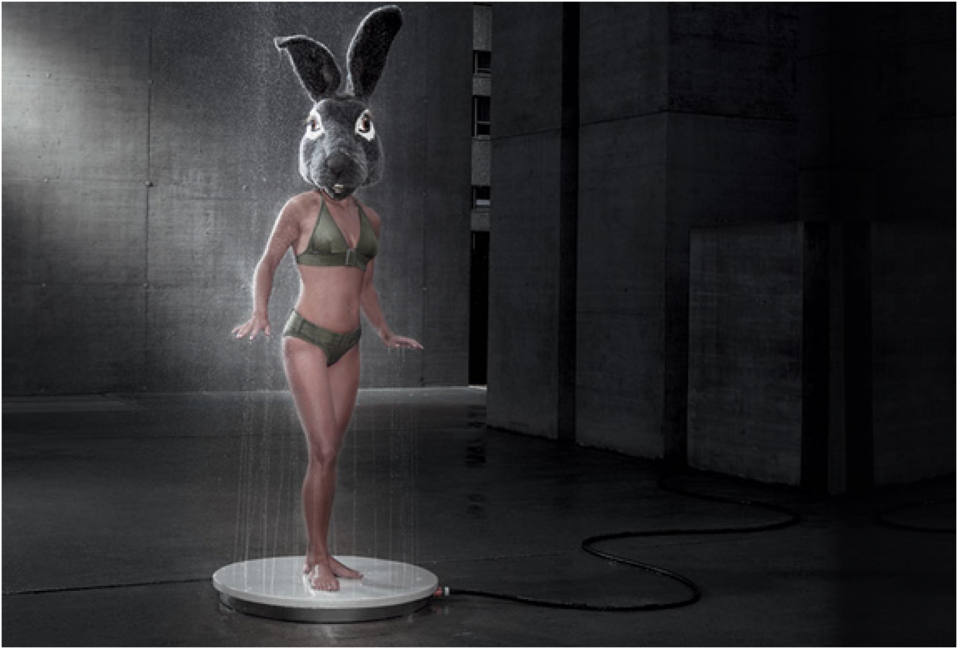 Viteo Outdoors Shower | Image
