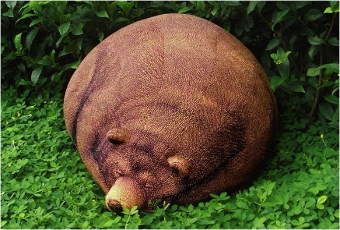 BIG SLEEPING GRIZZLY BEAR BEAN BAG - Image