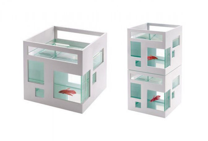 CONDO FISH BOWL | BY UMBRA - Image