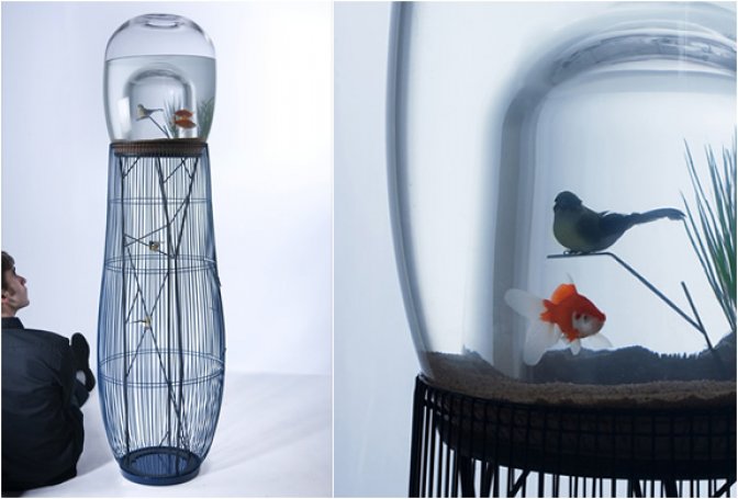 DUPLEX | FISHBOWL AND BIRDCAGE - Image
