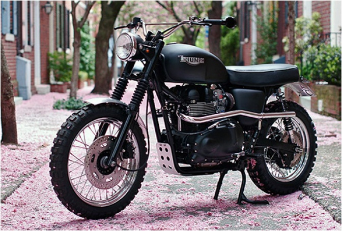 JACK PINE TRIUMPH | BY HAMMARHEAD INDUSTRIES - Image