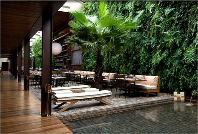 KAA RESTAURANT | SAO PAULO BRASIL - Image