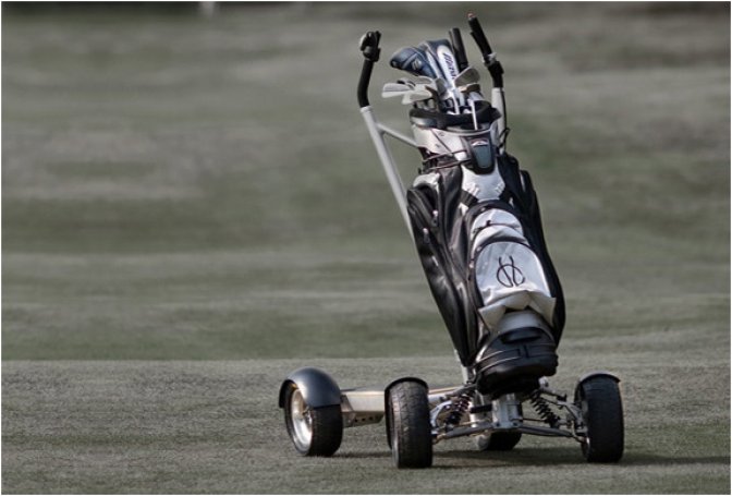 MANTYS GOLF CART - Image