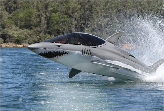 SHARK SUBMARINE FOR 2 PEOPLE - Image