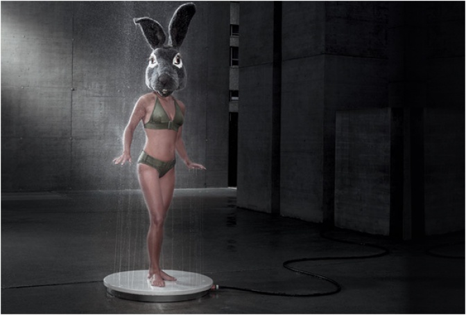 VITEO OUTDOORS SHOWER - Image