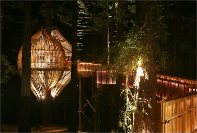 YELLOW TREE HOUSE RESTAURANT - Image