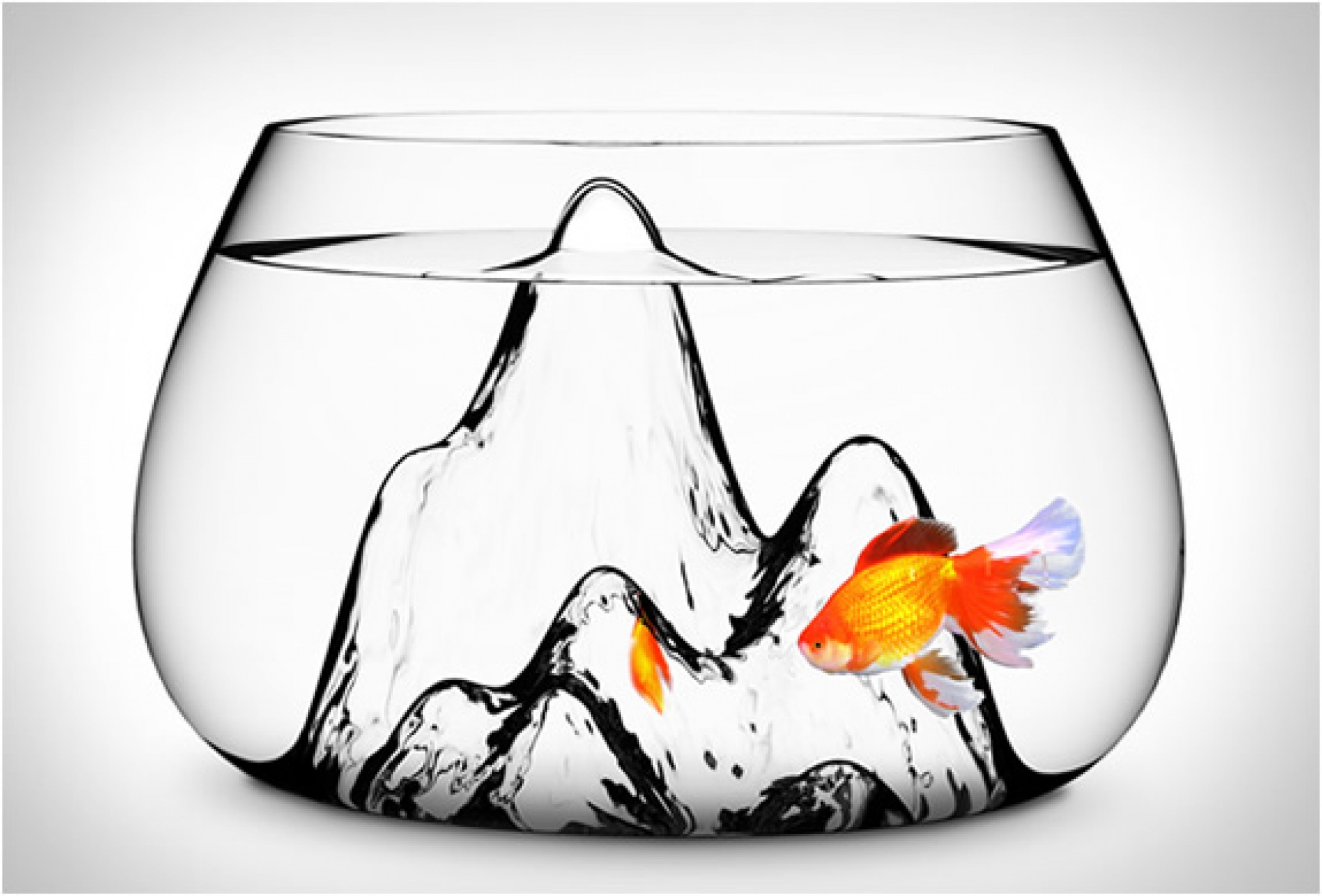 Fishscape Fishbowl | Image