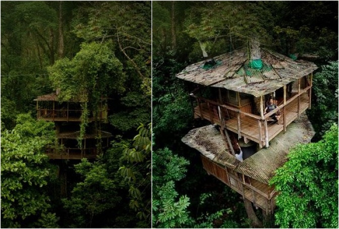 FINCA BELLAVISTA | TREE HOUSE COMMUNITY IN COSTA RICA - Image