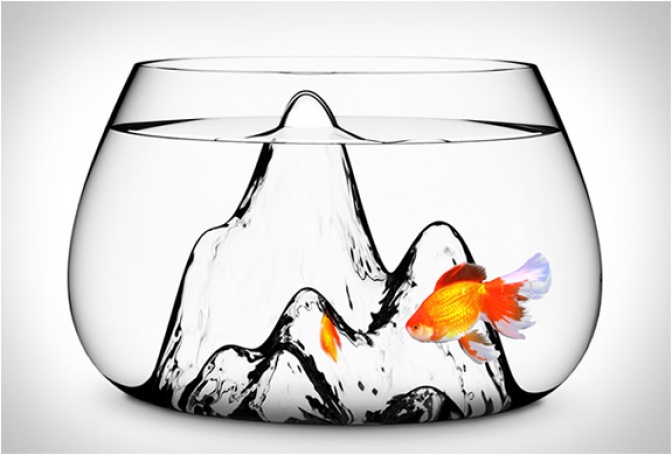FISHSCAPE FISHBOWL - Image