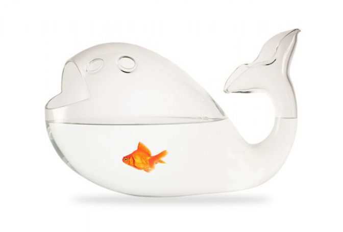 GIONA AQUARIUM FISH BOWL | BY ALESSANDRA BALDERESCHI - Image