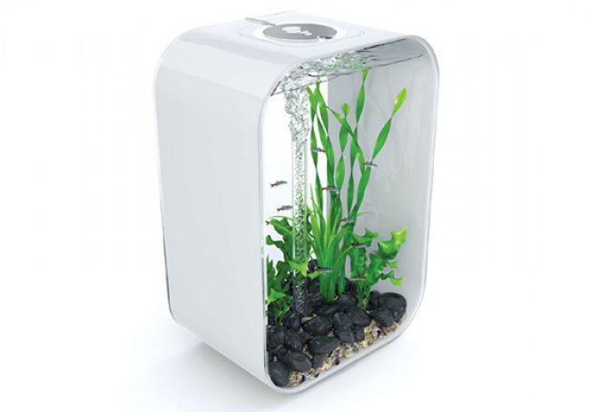 MINIMALIST AQUARIUMS | BY BIORB - Image