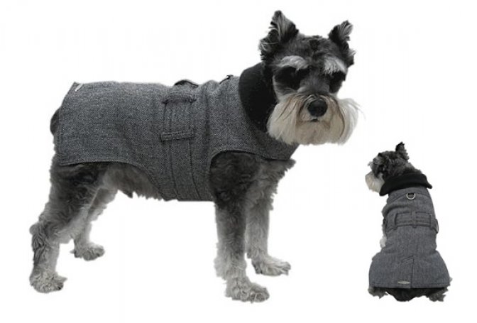 WALL STREET DOG TRENCH COAT - Image