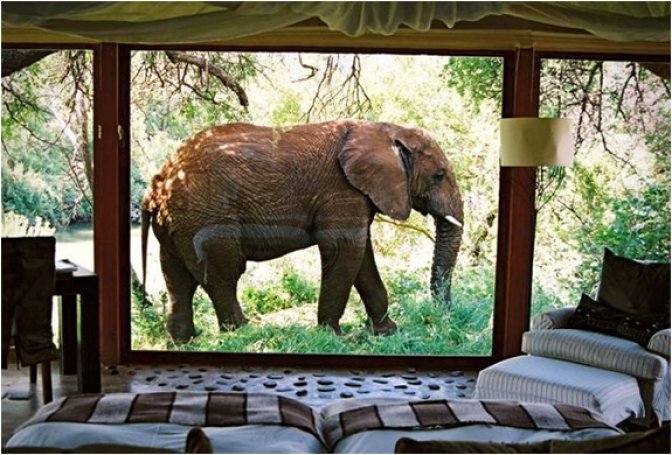 MAKANYANE SAFARI LODGE | SOUTH AFRICA - Image