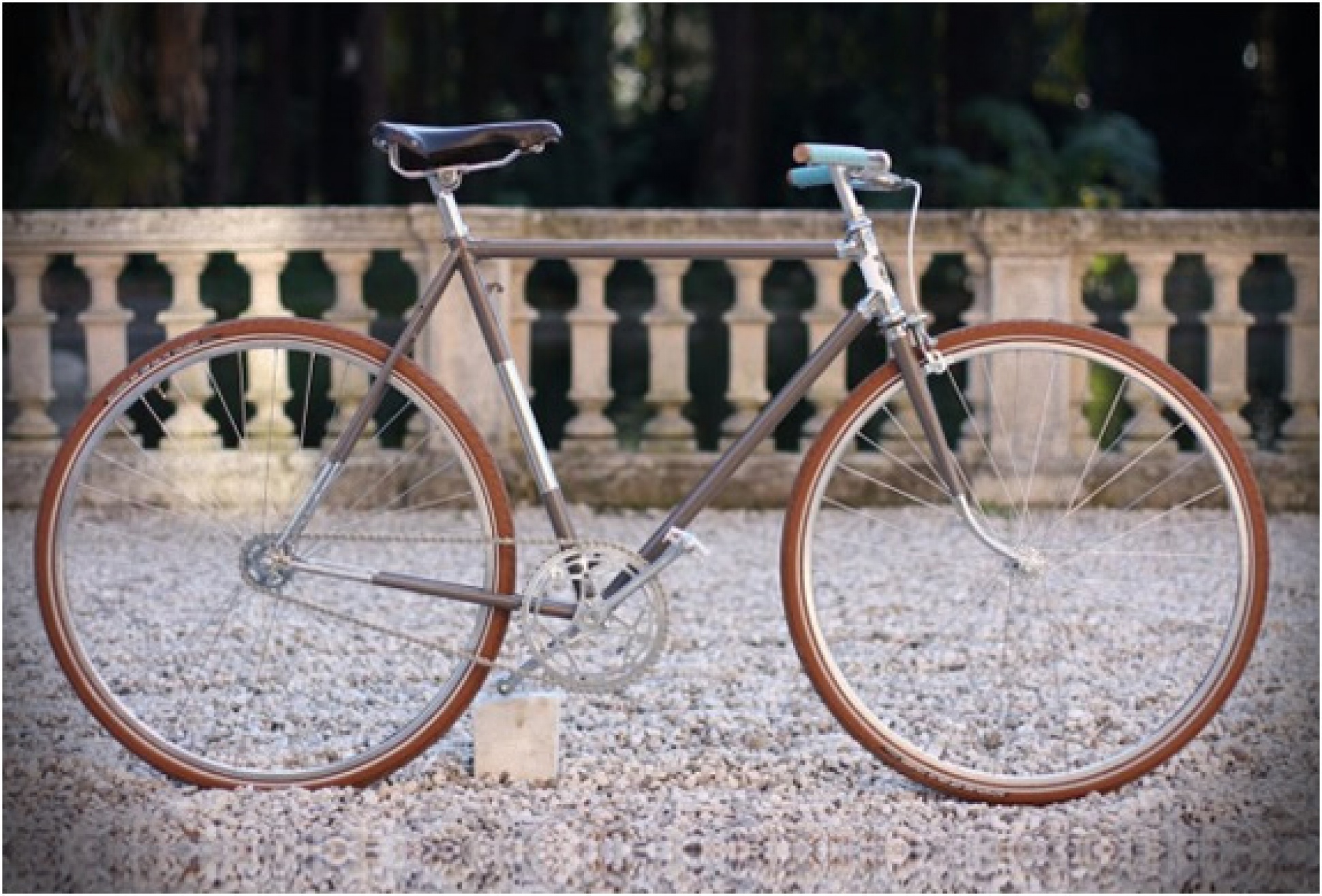 Biascagne Cicli | Image