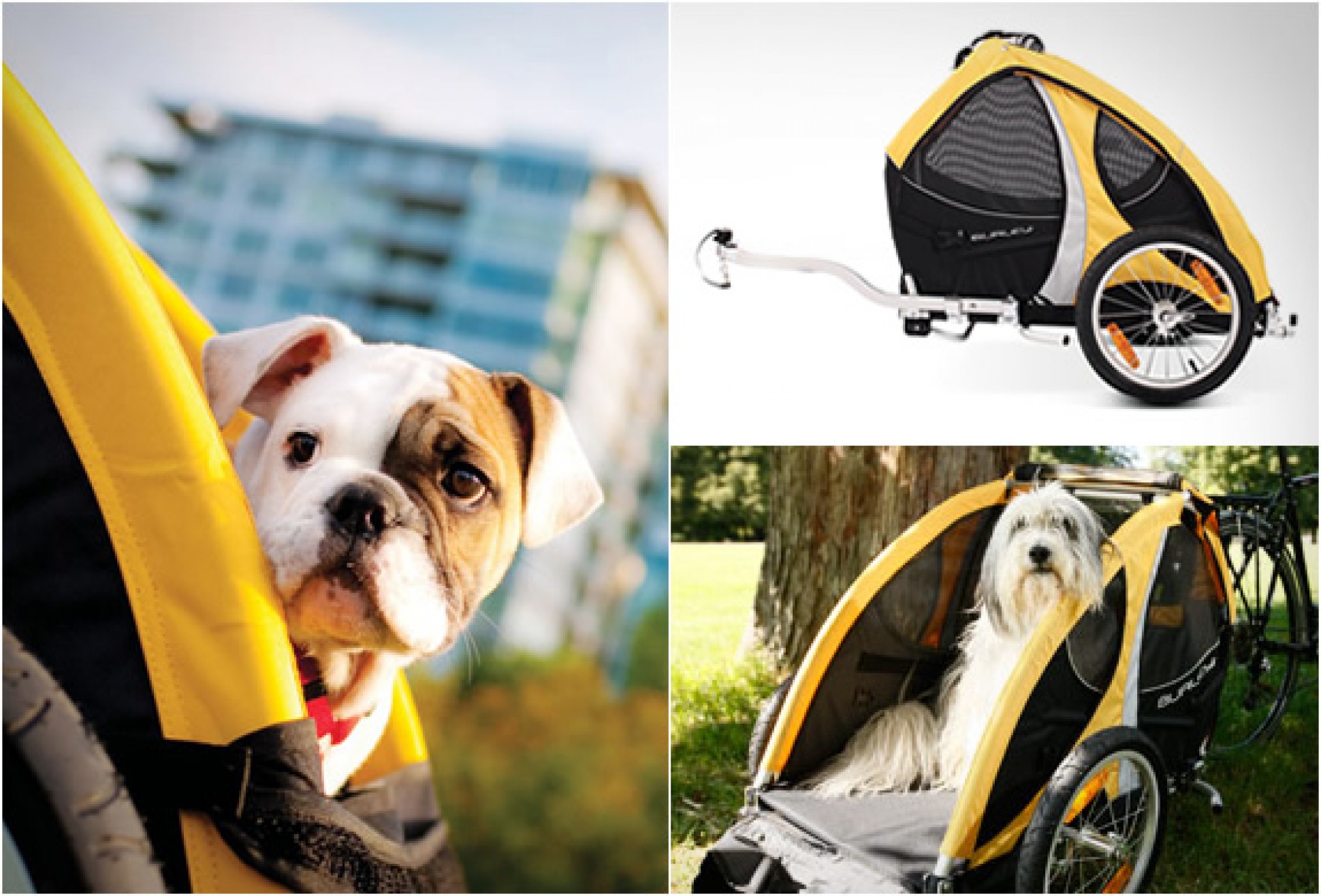 Tail Wagon Bike Pet Trailer