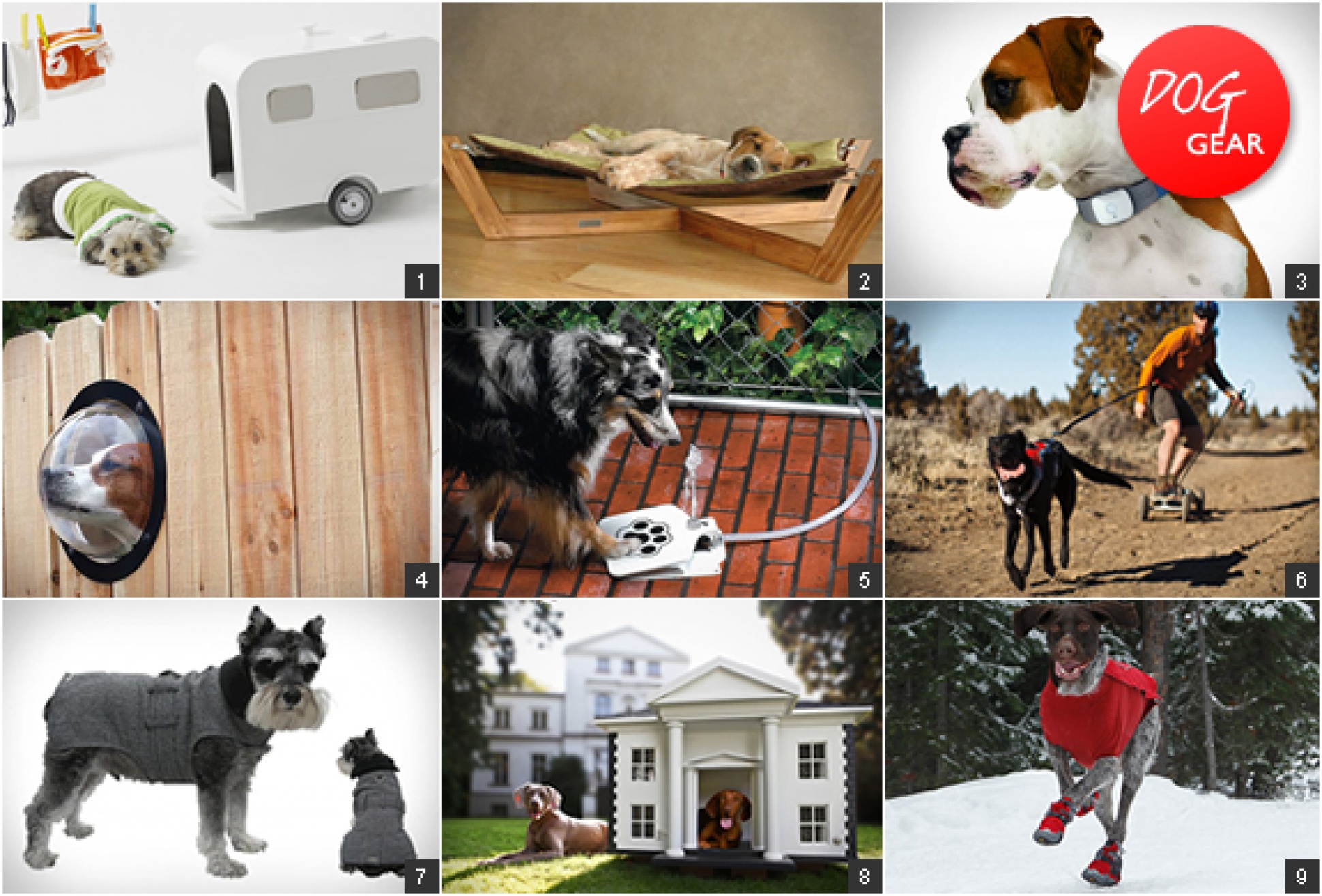 Dog Gear | Image