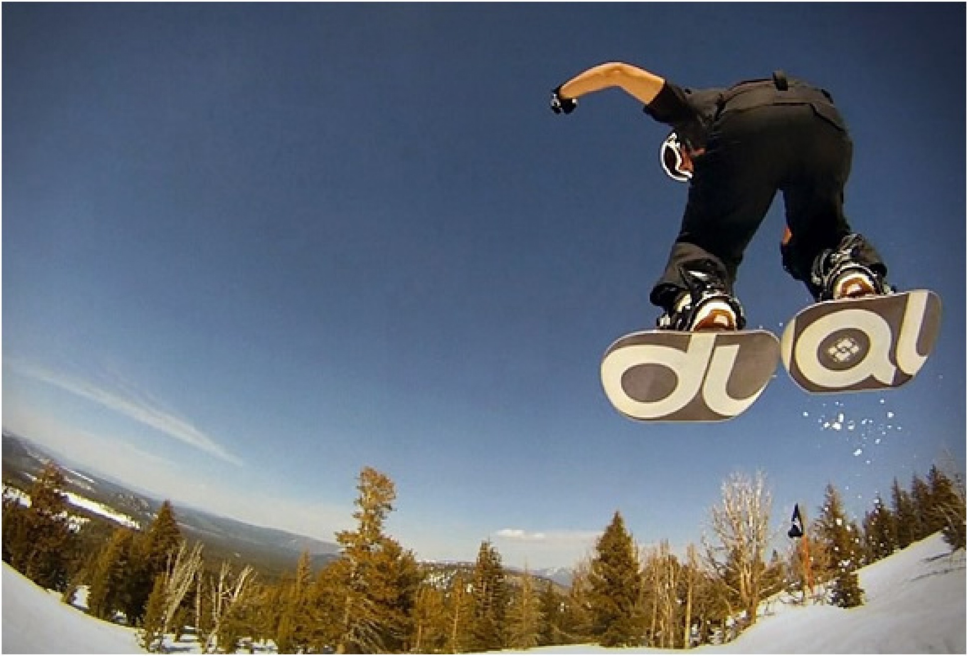 Dual Snowboards | Image