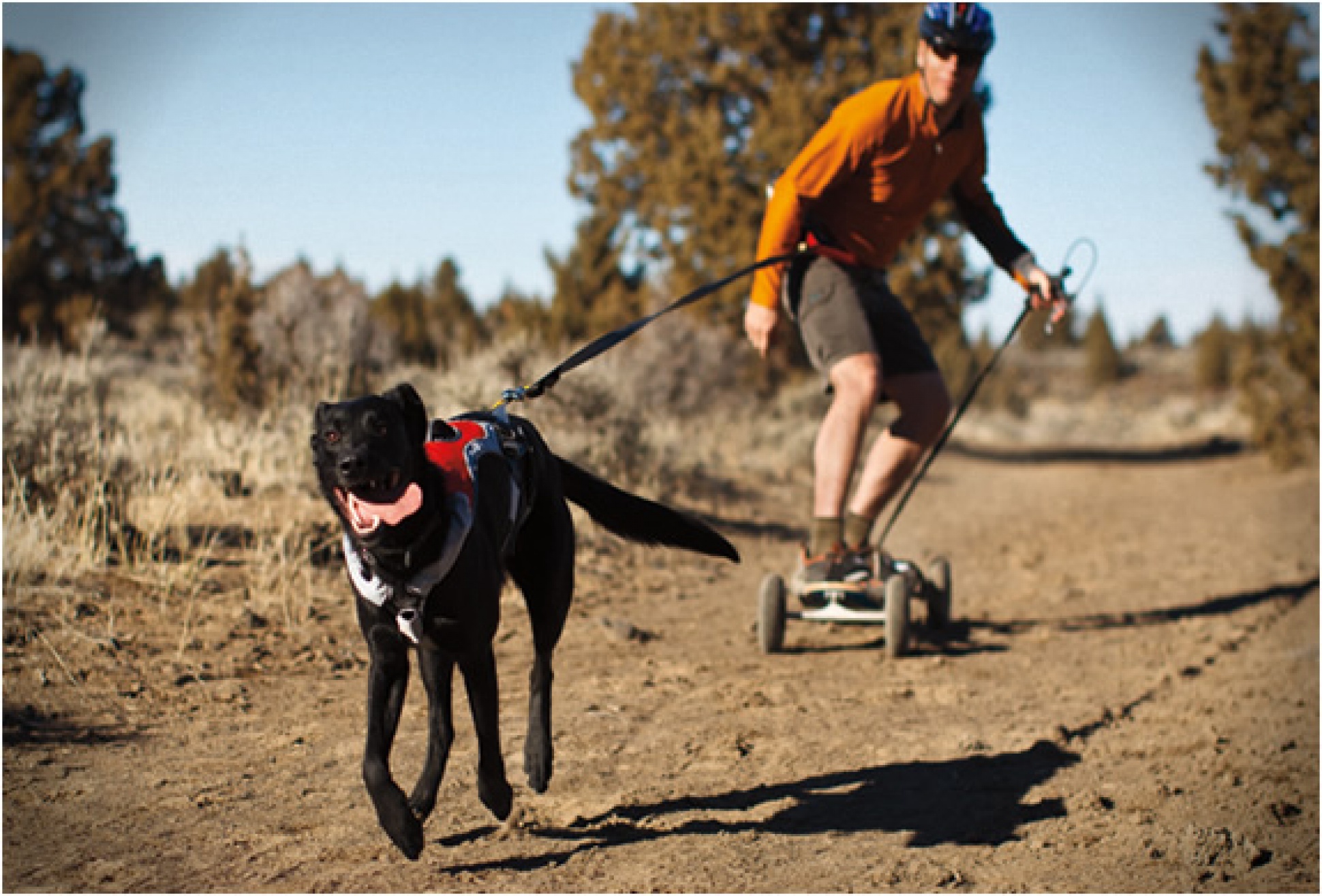 Omnijore Joring System | By Ruff Wear | Image