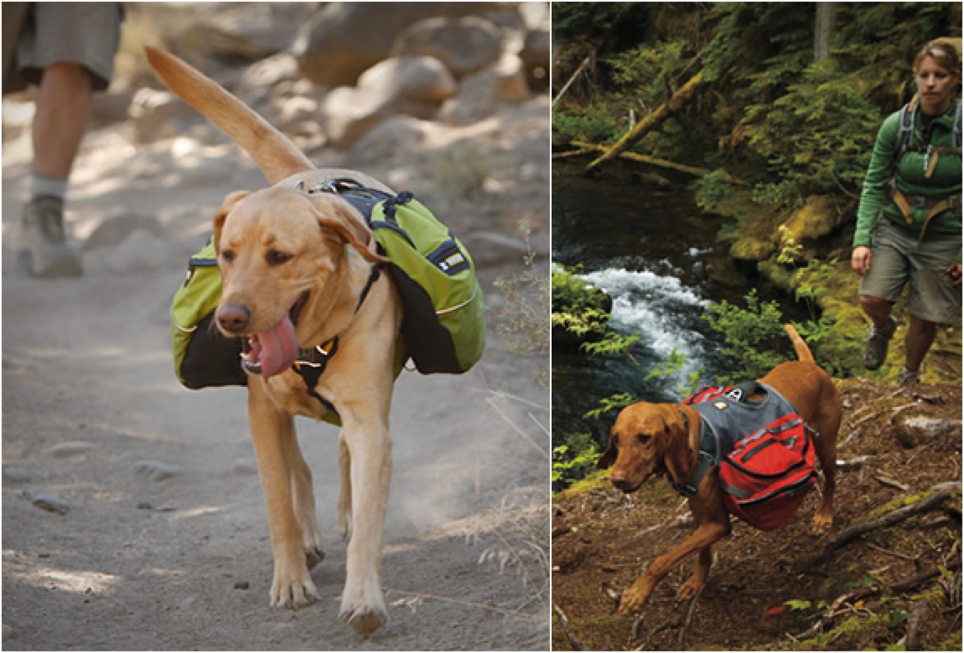 Dog Packs | By Ruffwear | Image