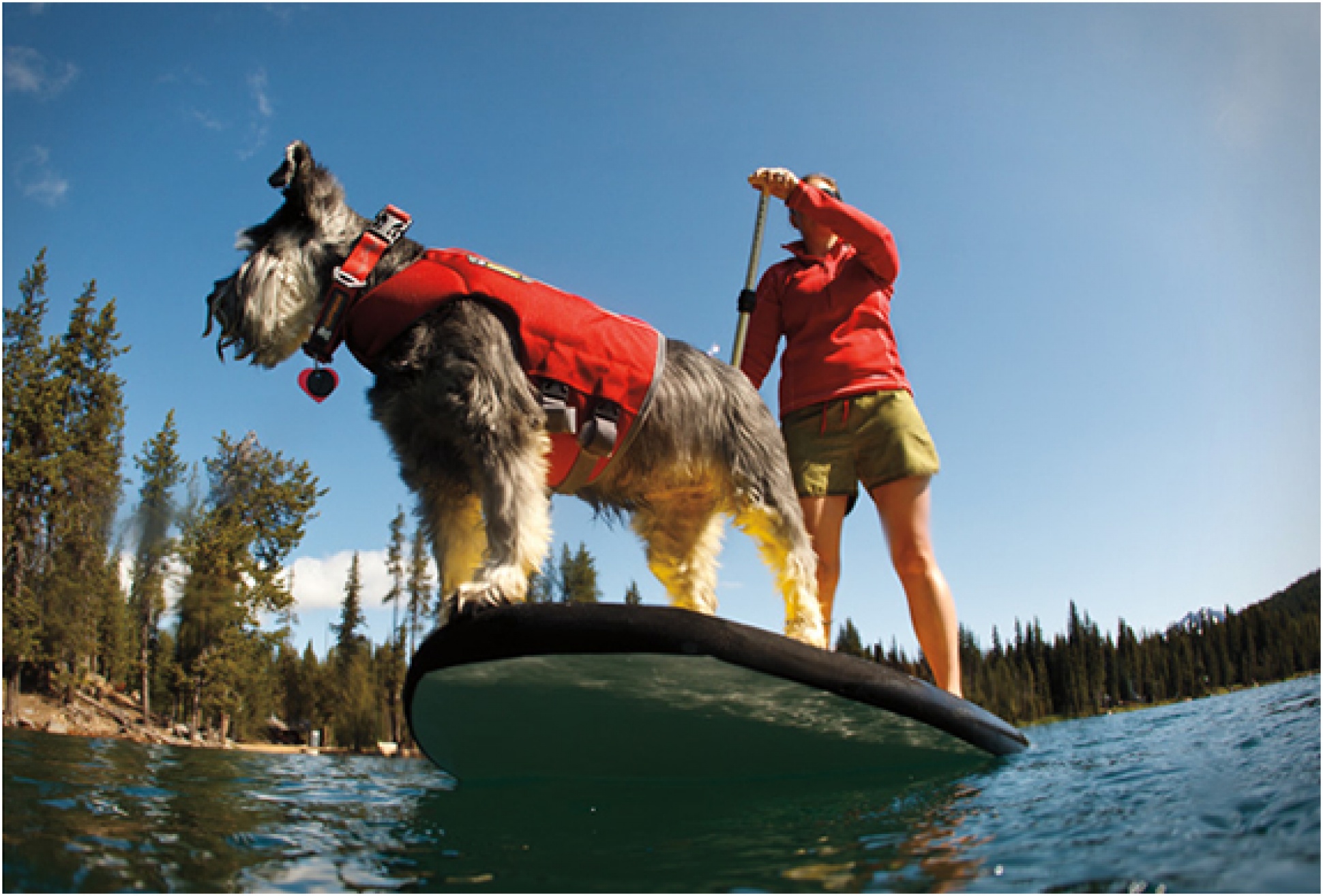 K-9 Float Coat | By Ruffwear | Image