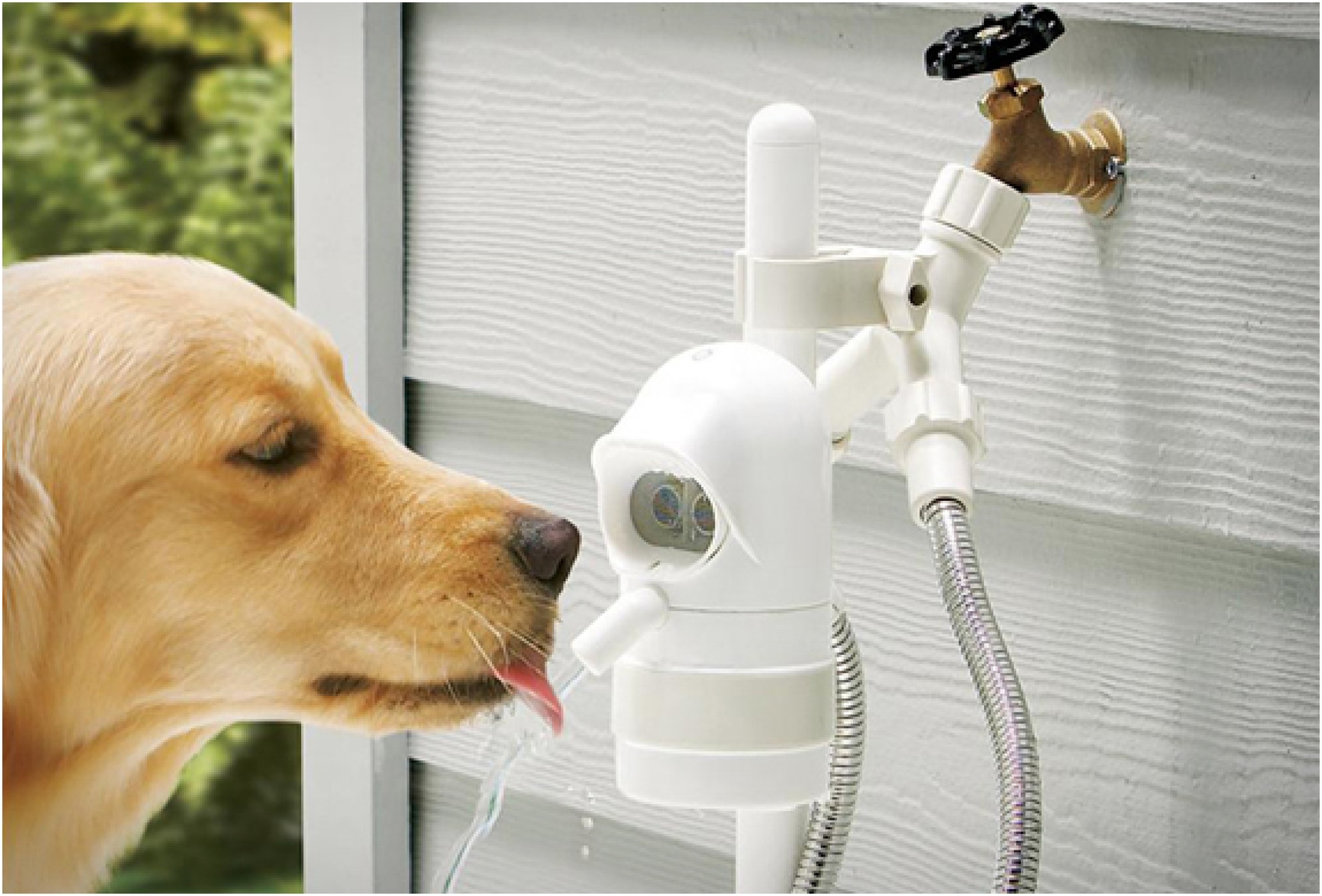 thumbnail interactive-video image 1 of Dog Cooling Self-Serve Water Faucet Attachment | Stainless Steel, Portable Outdoor Dog Waterer 1 of 2