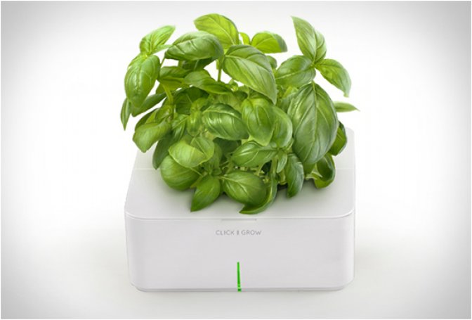 CLICK & GROW - Image