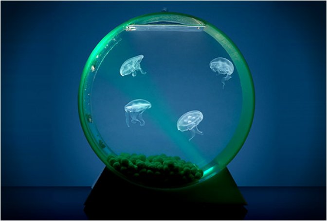 DESKTOP JELLYFISH TANK - Image